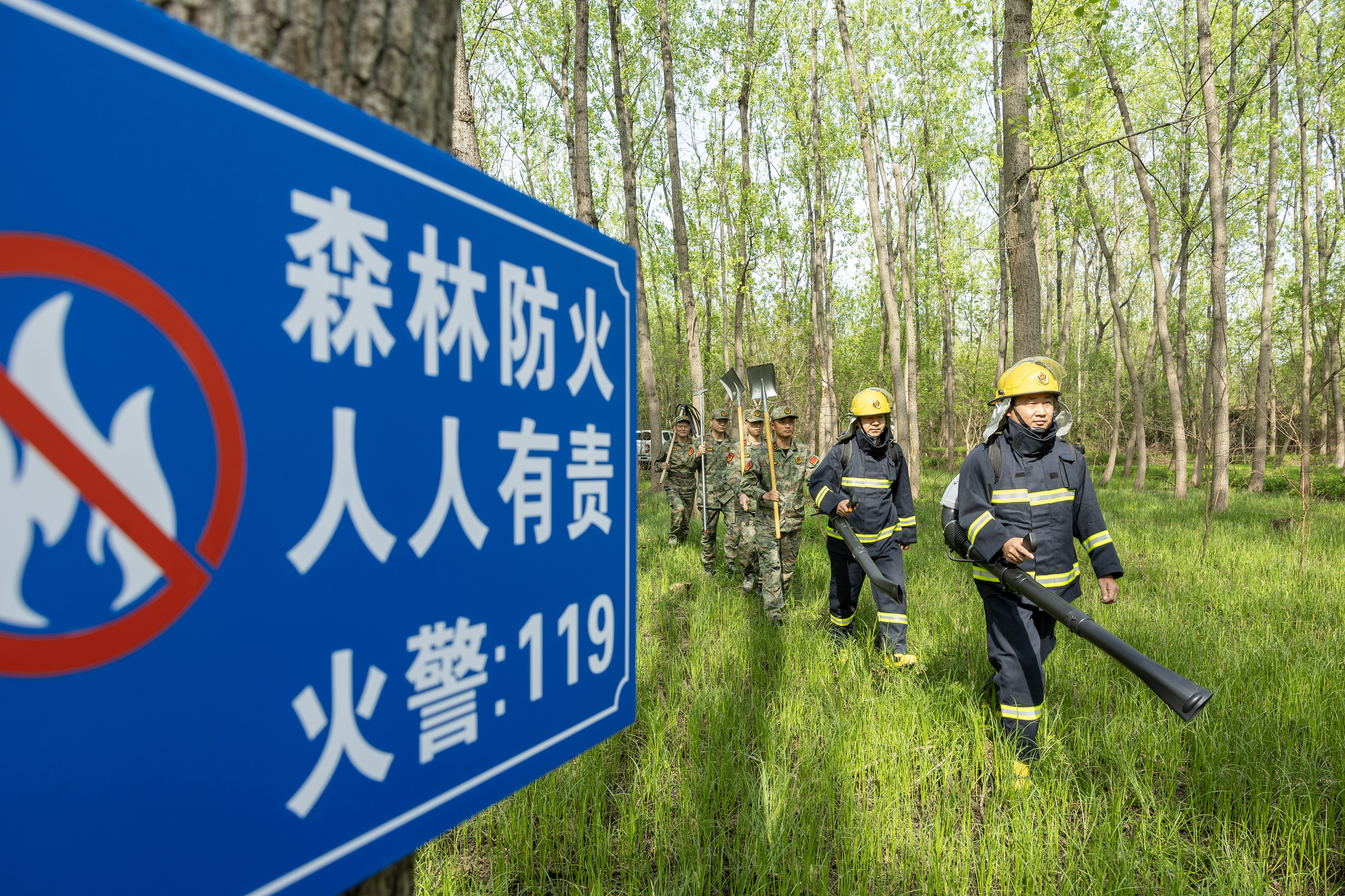 2024年4月9日，合肥市大房郢水庫水源保護(hù)地廬陽經(jīng)濟(jì)開發(fā)區(qū)段，基干民兵正在林間巡查火災(zāi)隱患。