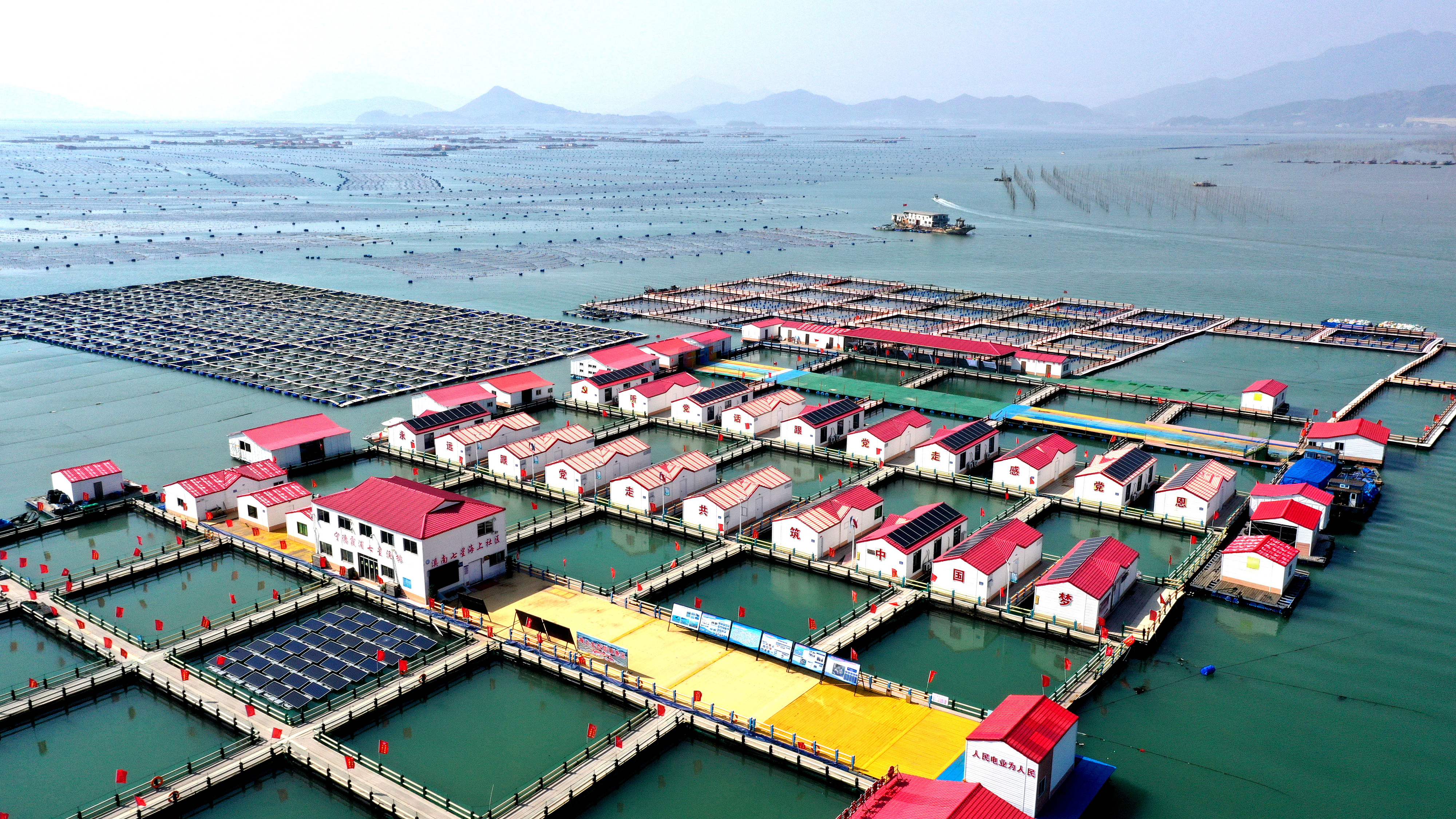 2024年3月20日，福建省寧德市，霞浦縣溪南鎮(zhèn)七星村漁排養(yǎng)殖示范區(qū)，漁民駕駛養(yǎng)殖船進行海參養(yǎng)殖作業(yè)。